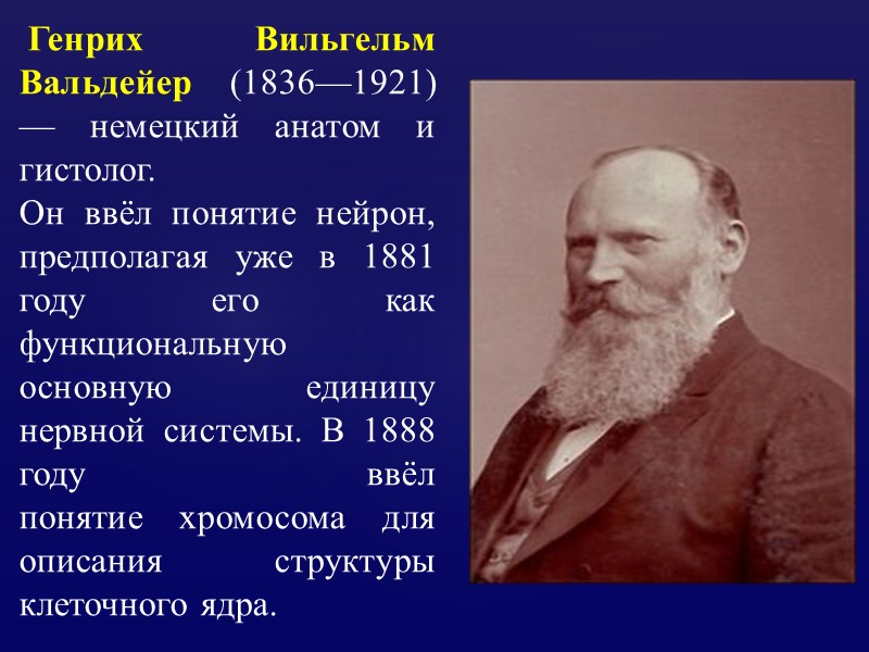 Генрих Вильгельм Вальдейер (1836—1921) — немецкий анатом и гистолог.  Он ввёл понятие нейрон,